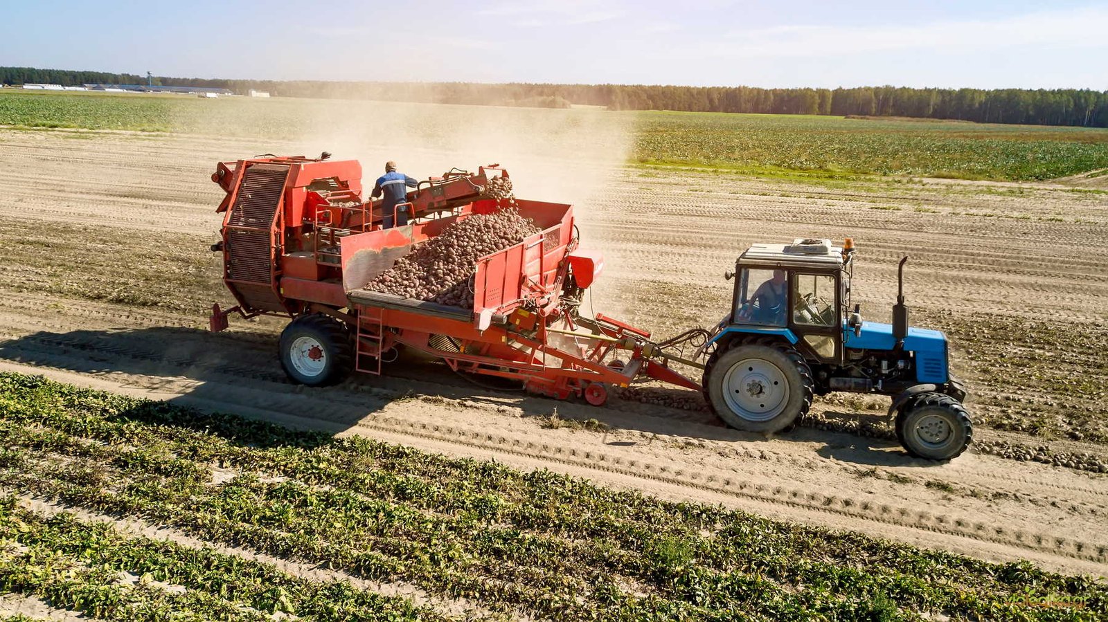 Η Μαζική Εκβιομηχάνιση Της Καλλιέργειας Και Η Στροφή Προς Την Βιολογική Γεωργία Η Μαζική Εκβιομηχάνιση Της Καλλιέργειας Και Η Στροφή Προς Την Βιολογική Γεωργία