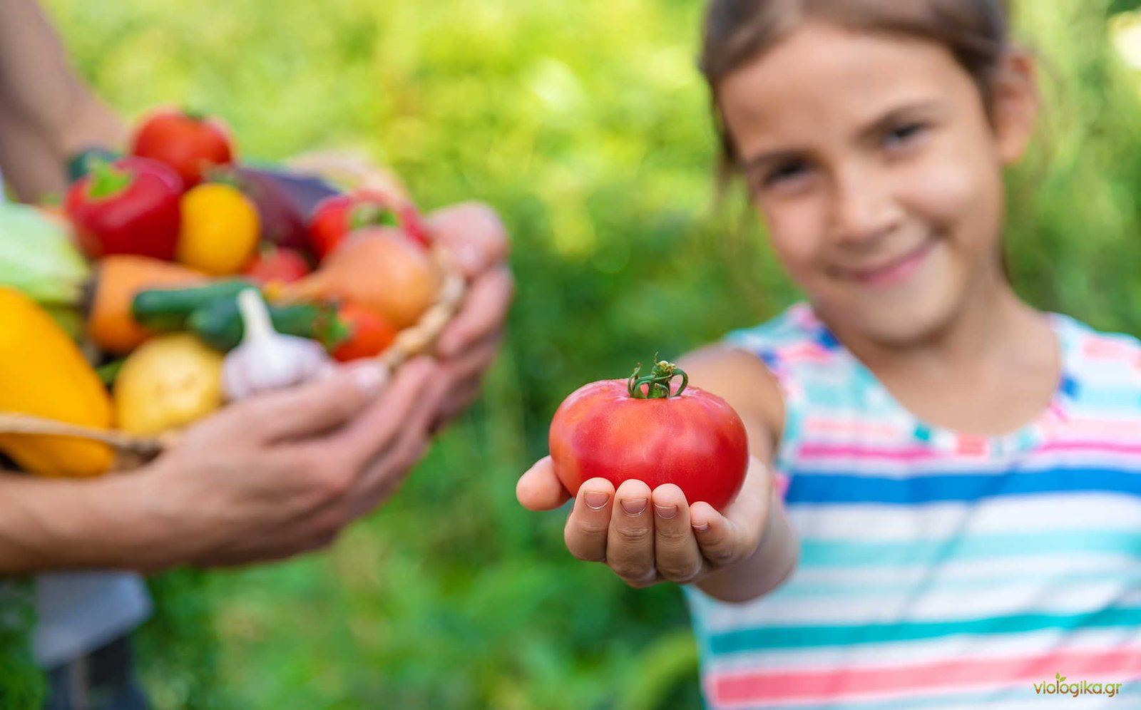 Η Γη Δεν Μας Ανήκει· Μας Φιλοξενεί Η Γη Δεν Μας Ανήκει· Μας Φιλοξενεί
