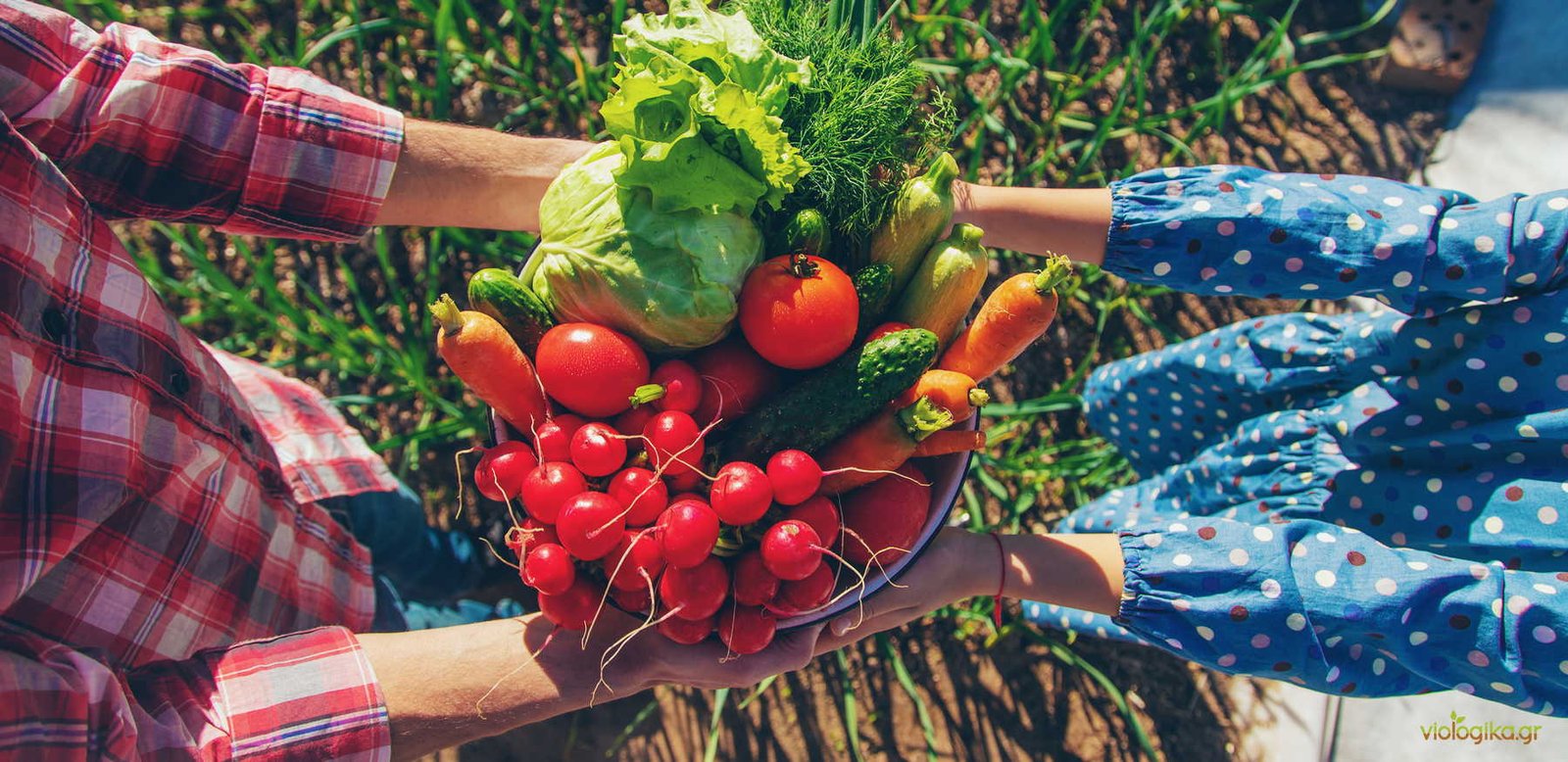 Οι «Πράσινες Επαναστάσεις» Και Οι Νέες Προκλήσεις Οι «Πράσινες Επαναστάσεις» Και Οι Νέες Προκλήσεις