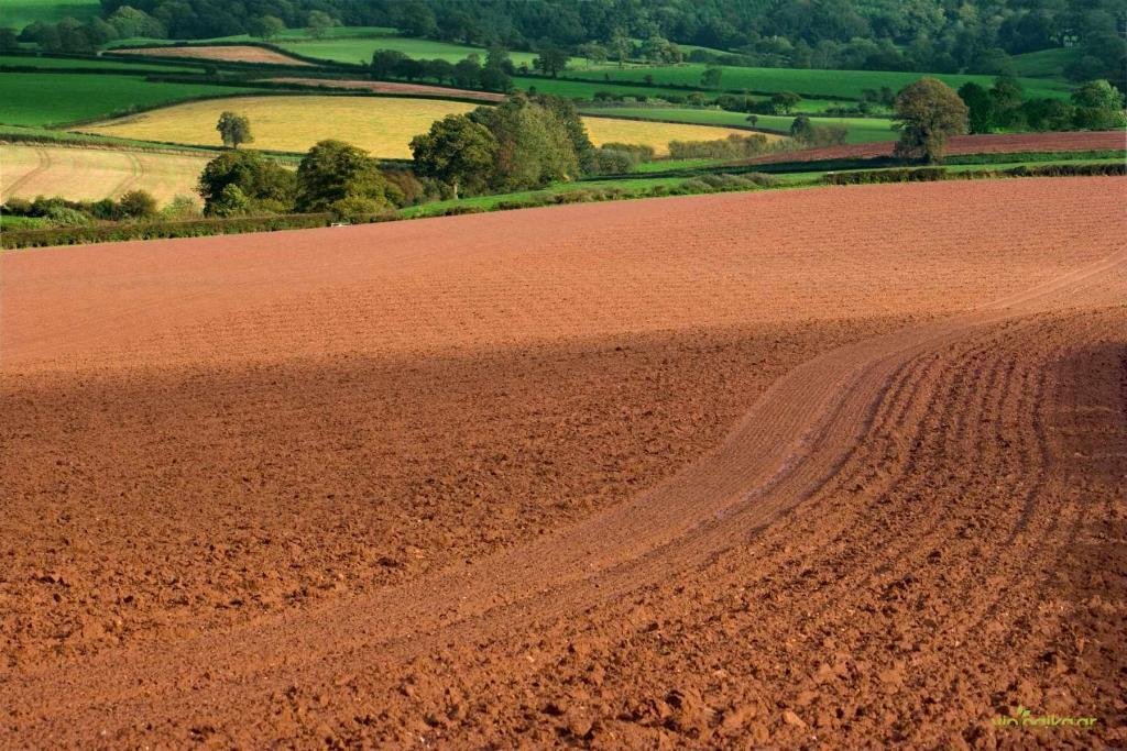 Αγρανάπαυση, η διακοπή καλλιέργειας για συγκεκριμένη χρονική περίοδο