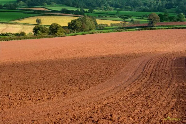 Αγρανάπαυση, Η Διακοπή Καλλιέργειας Για Συγκεκριμένη Χρονική Περίοδο