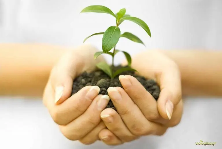 Αμειψισπορά