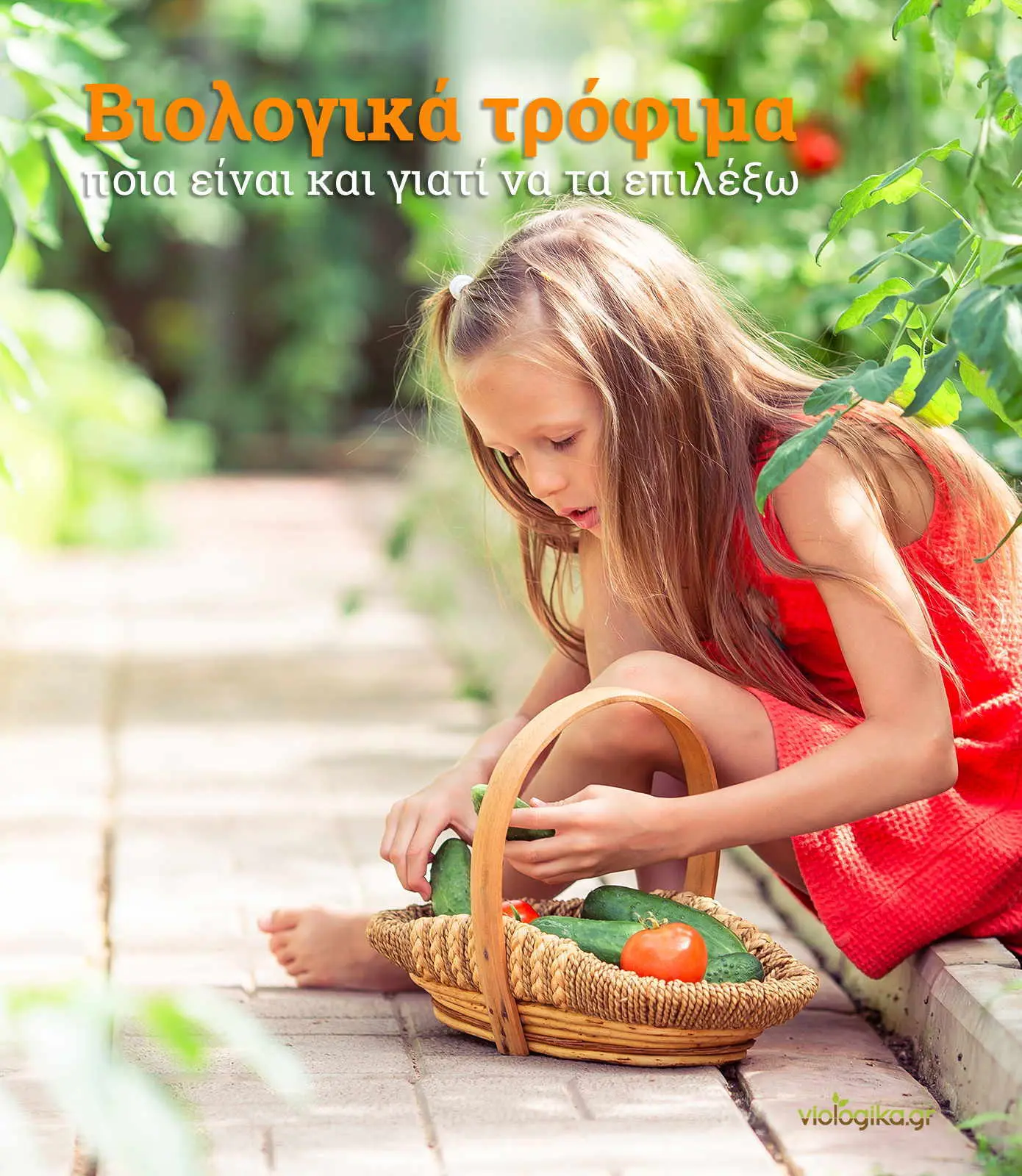 Βιολογικά τρόφιμα, ποια είναι και γιατί να τα επιλέξω