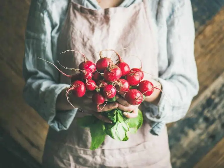 Βιολογικές Καλλιέργειες