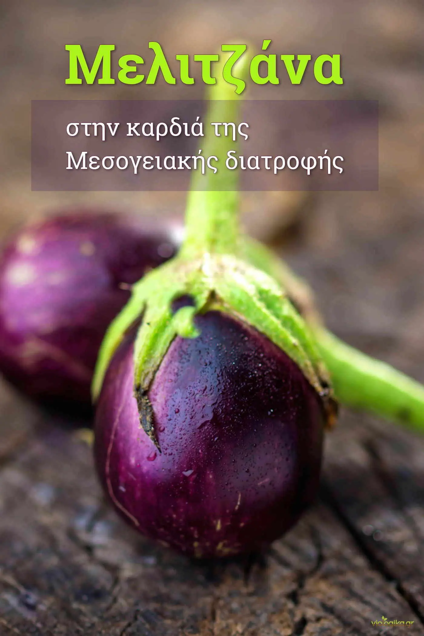 Βιολογικές Μελιτζάνες, Στην Καρδιά Της Μεσογειακής Διατροφής