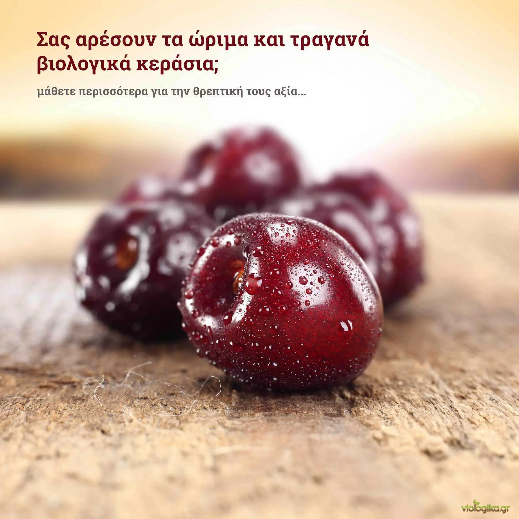 Ώριμα και τραγανά βιολογικά κεράσια
