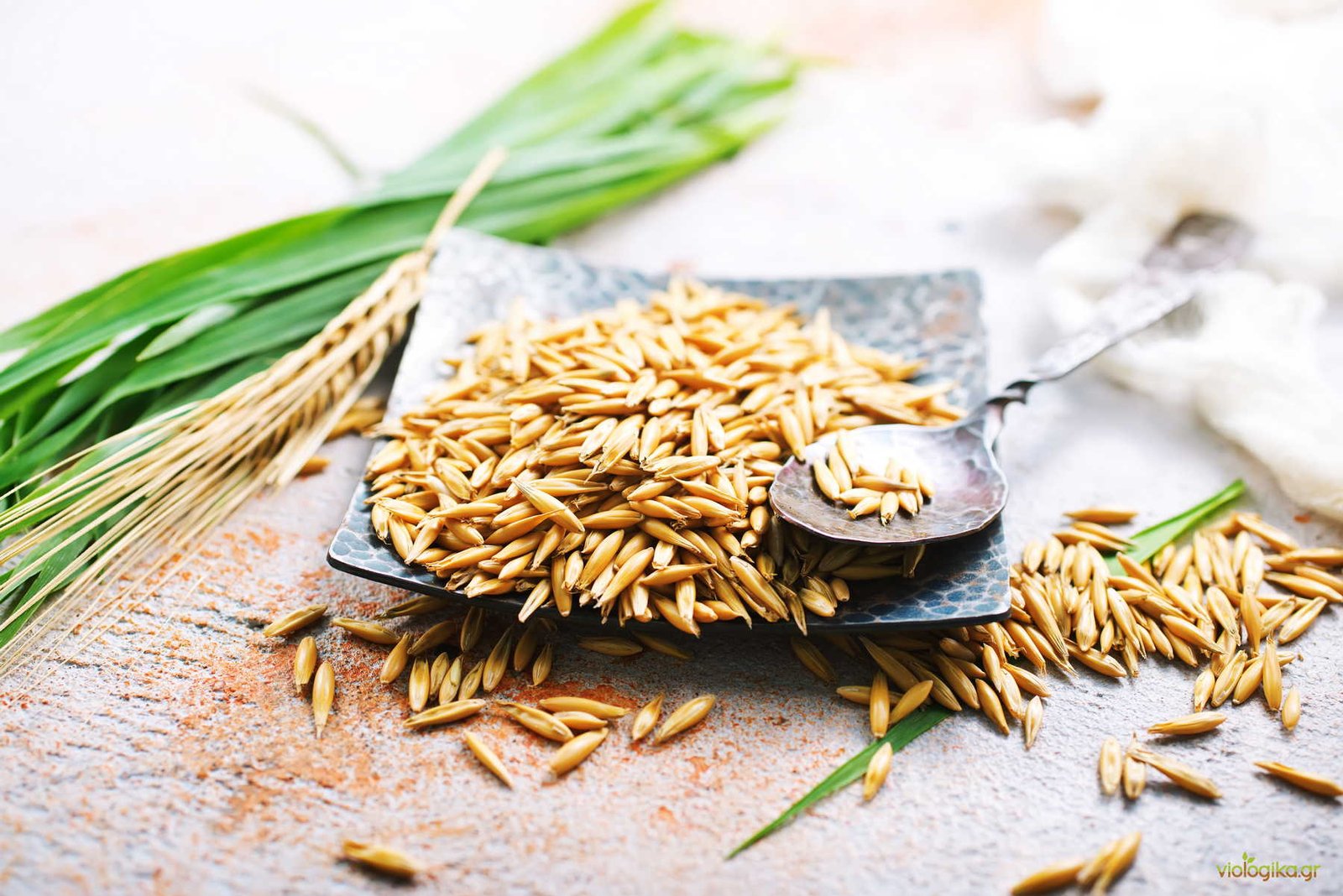 Διατροφική Αξία Και Οφέλη Της Βιολογικής Βρώμης Διατροφική Αξία Και Οφέλη Της Βιολογικής Βρώμης