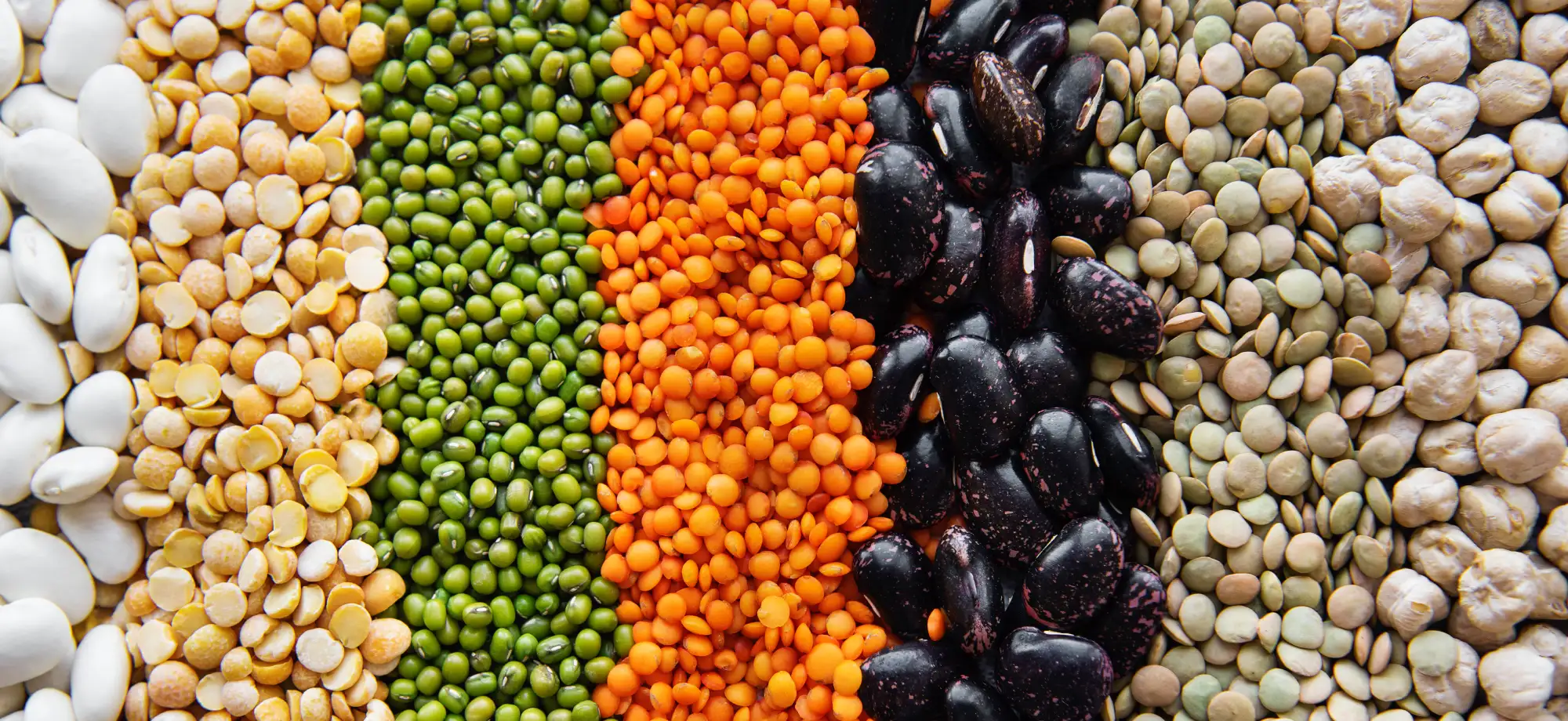 Τα Όσπρια Στη Μάχη Κατά Της Δυσκοιλιότητας Τα Όσπρια Στη Μάχη Κατά Της Δυσκοιλιότητας